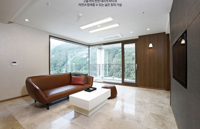 Pine Forest - Foto 19