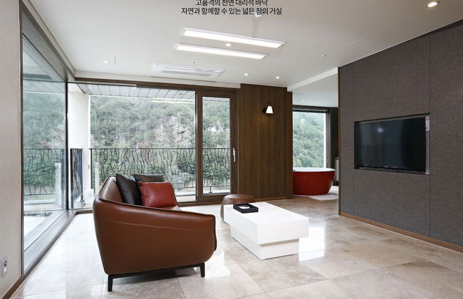 Pine Forest - Foto 18