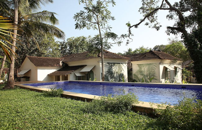 The Project Cafe Goa - Foto 19
