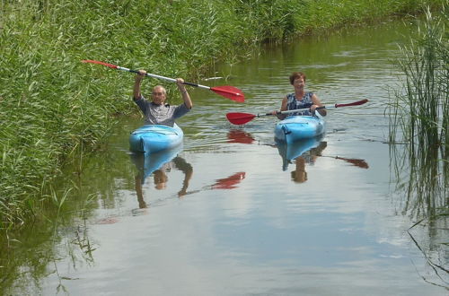 Photo 14 - Recreational Farm Located in a Beautiful Area of Friesland