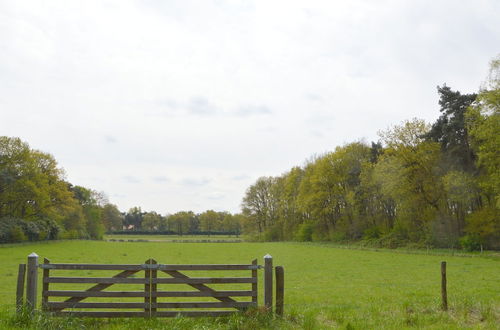 Photo 35 - Lovely Holiday Home in Limburg Amid Lush Forest