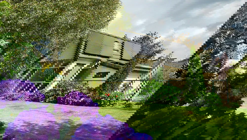 Imagem principal
