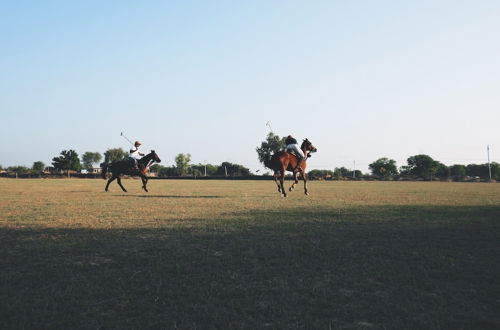 Photo 22 - Talabgaon Castle