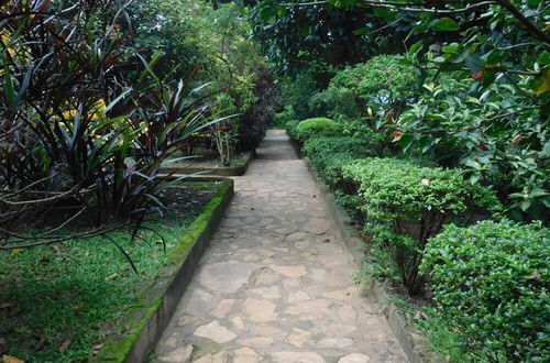 Photo 15 - Immaculate 2-bedroom Cottage in Kampala