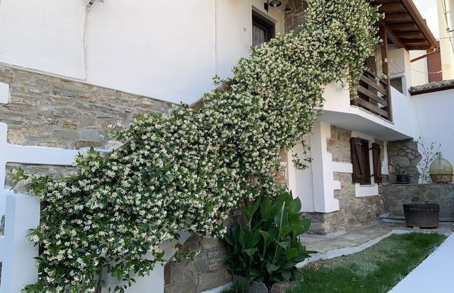 Beautiful Petrino 1880 - Foto 35