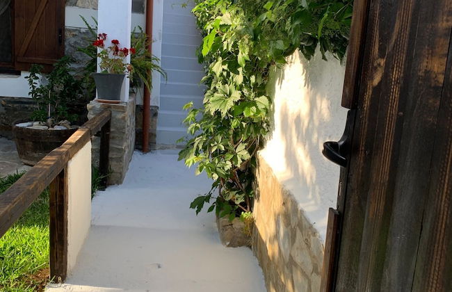Beautiful Petrino 1880 - Foto 39