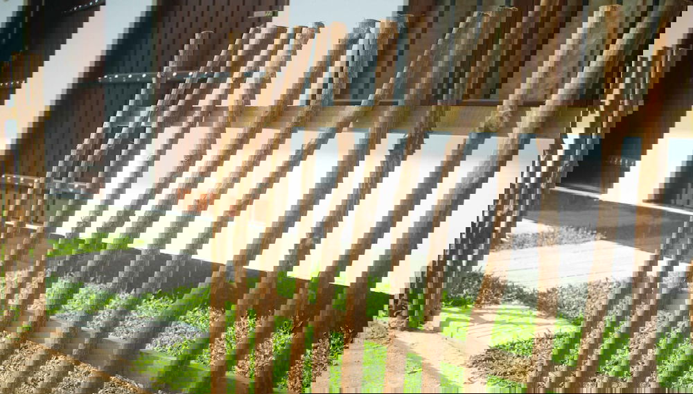 Imagem principal