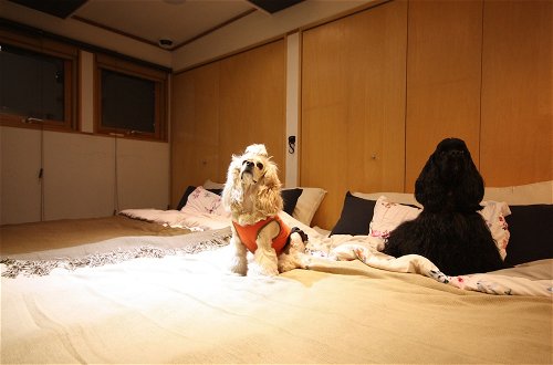 Photo 4 - Sapporo Hiraoka Dog Hotel