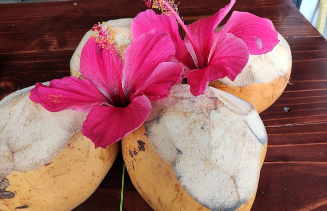 2-bed Apt, Sleeps 5, Near Beau Vallon Beach - Foto 22