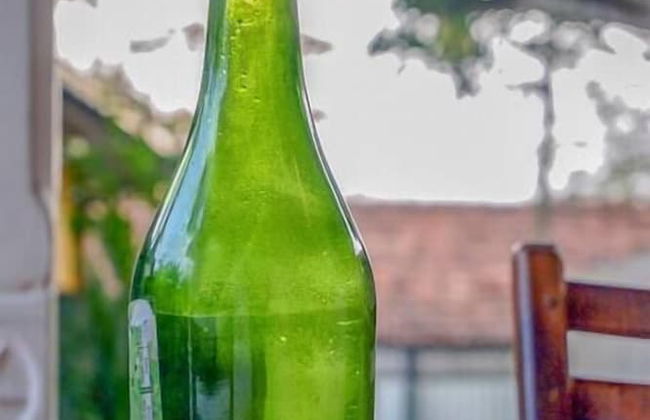 Mango Tree House - Photo 23