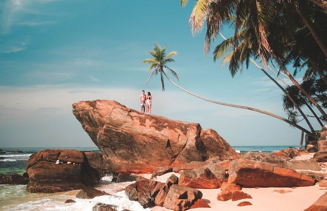 Mango Tree House - Photo 1