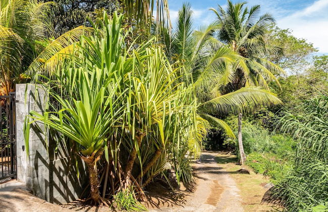 Blue Horizon Villas - Foto 35