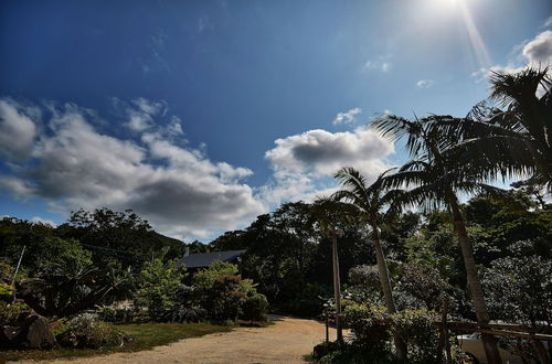 Photo 35 - Churaya -Yaedake with Japanese Garden-