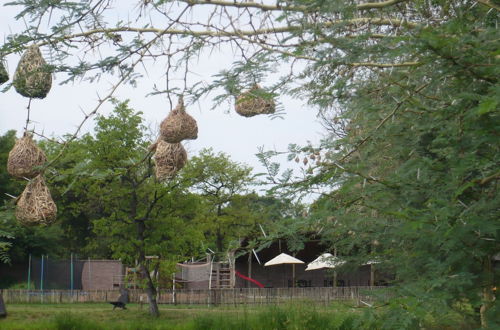 Photo 22 - Luxury Holidayhome in Gated Estate Near Kruger Park and Golf