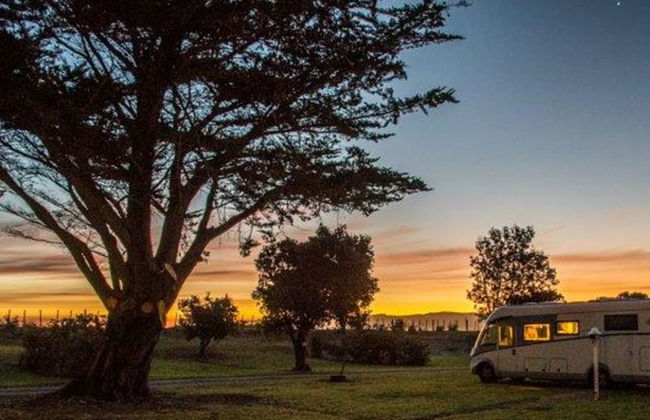 Mahia Beach Motel and Holiday Park - Foto 38