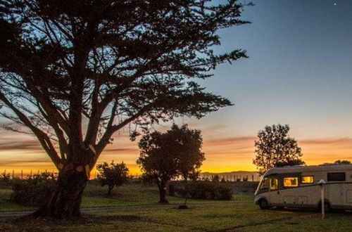 Photo 38 - Mahia Beach Motel and Holiday Park