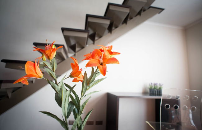 Villa Apartments Santiago - Photo 9