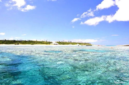 Photo 39 - Winbell Okinawa Nago Coral View