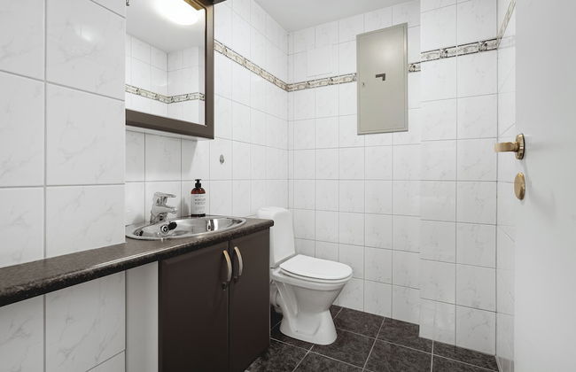 Arctic Homes - Downtown Penthouse - Foto 17