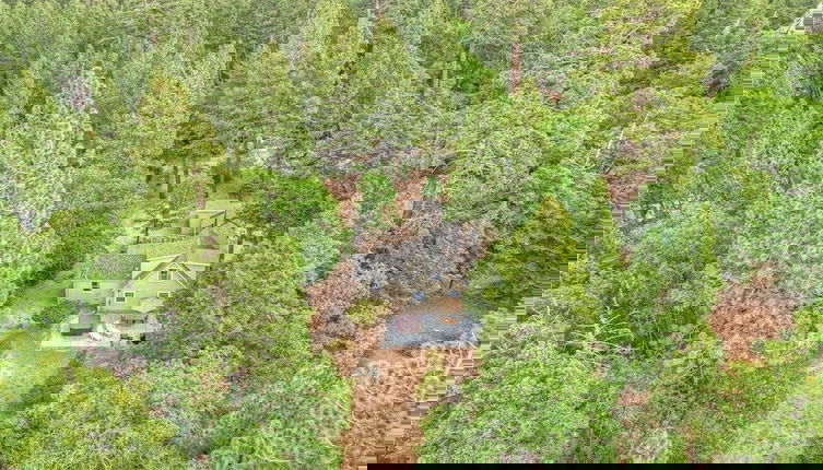 Foto 1 - Warbler's Roost