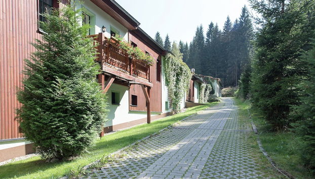 Rezeption