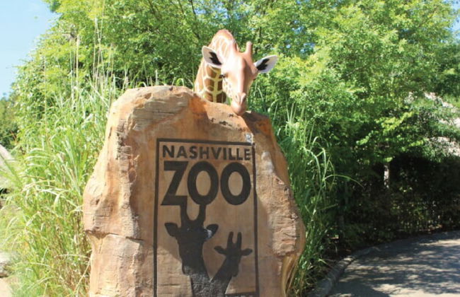 120 Opry House in Nashville - Photo 42