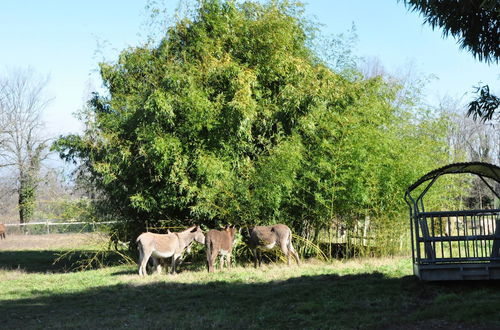 Foto 52 - Agriturismo Cascina Reciago