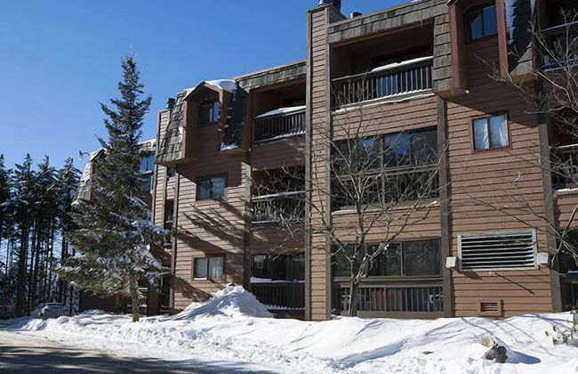 Snowcrest - Foto 1