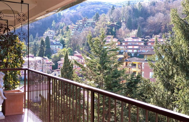 Pettirosso - Foto 30