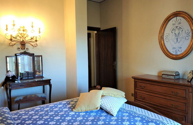 Pettirosso - Foto 7