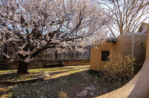 Photo 34 - Hacienda Rose - Historic East Side Adobe Estate, Lovingly Restored, Two Blocks to Canyon Rd