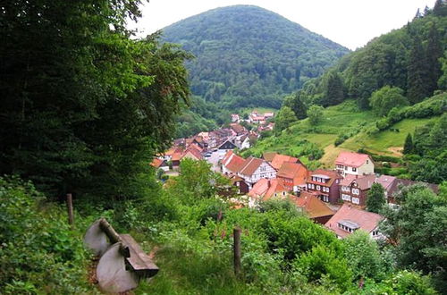 Photo 24 - Spacious Holiday Home in Zorge Near the Forest