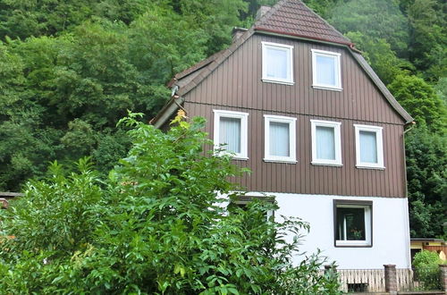 Photo 21 - Detached House in the Harz Region With a Garden