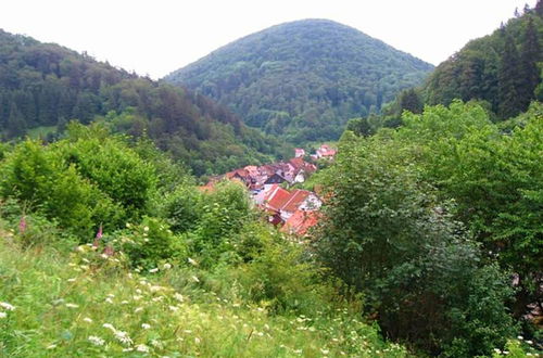 Photo 24 - Detached House in the Harz Region With a Garden