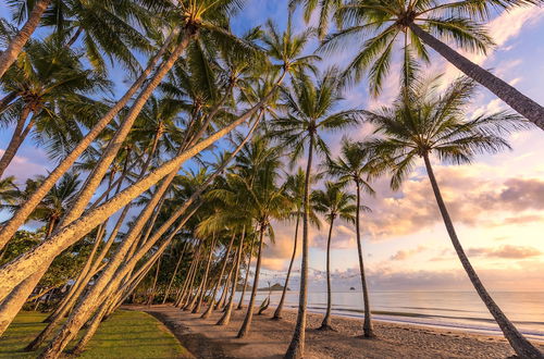 Photo 48 - Drift Palm Cove