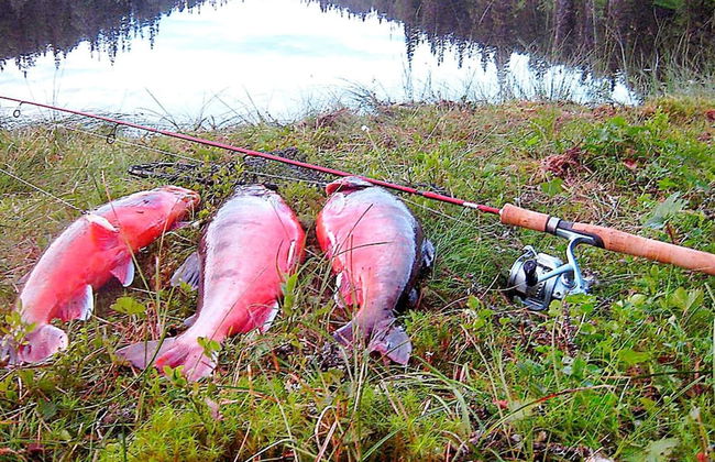 6 Person Holiday Home in Nordli-by Traum - Foto 8