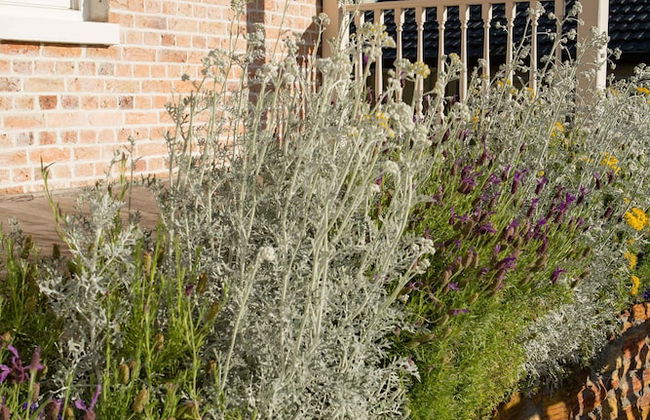 Spencer Cottage - Foto 18