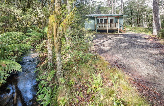 Toms Cabin - Foto 11