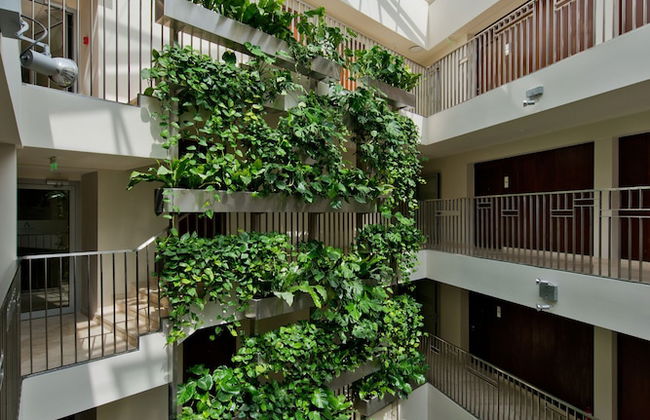 Mana Suites & Sea - Foto 64