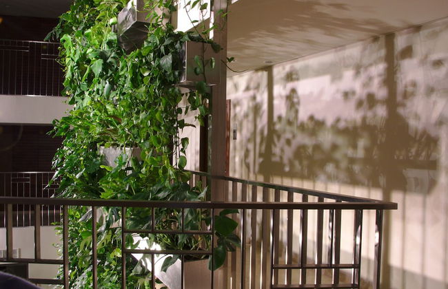 Mana Suites & Sea SPA - Foto 74