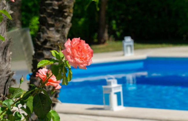 Villa Romeo in Vico Equense - Photo 8