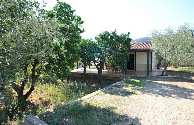 Case Vacanze L'Uliveto - Photo 35