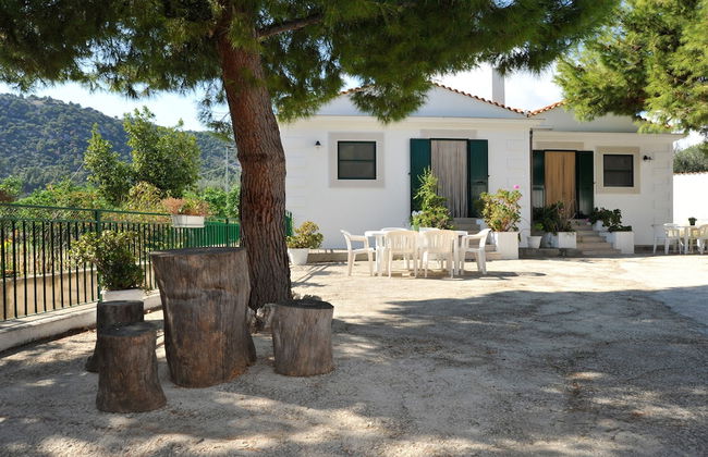 Case Vacanze L'Uliveto - Photo 49