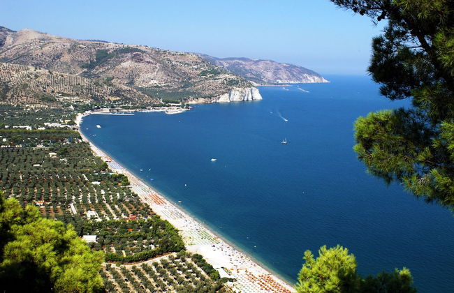 Case Vacanze L'Uliveto - Photo 54