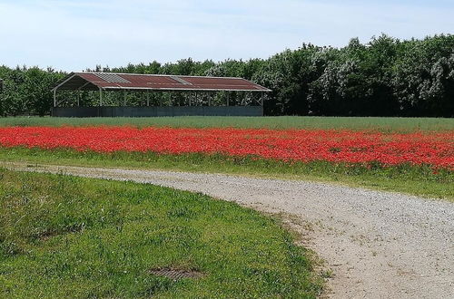 Foto 53 - Agriturismo Ai Due Leoni