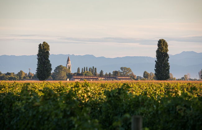 Agriturismo Ai Due Leoni - Foto 63
