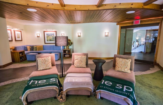 1325 Studio @ The Lodge at Spruce Peak - Foto 17