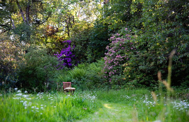 Home Farm - Foto 33