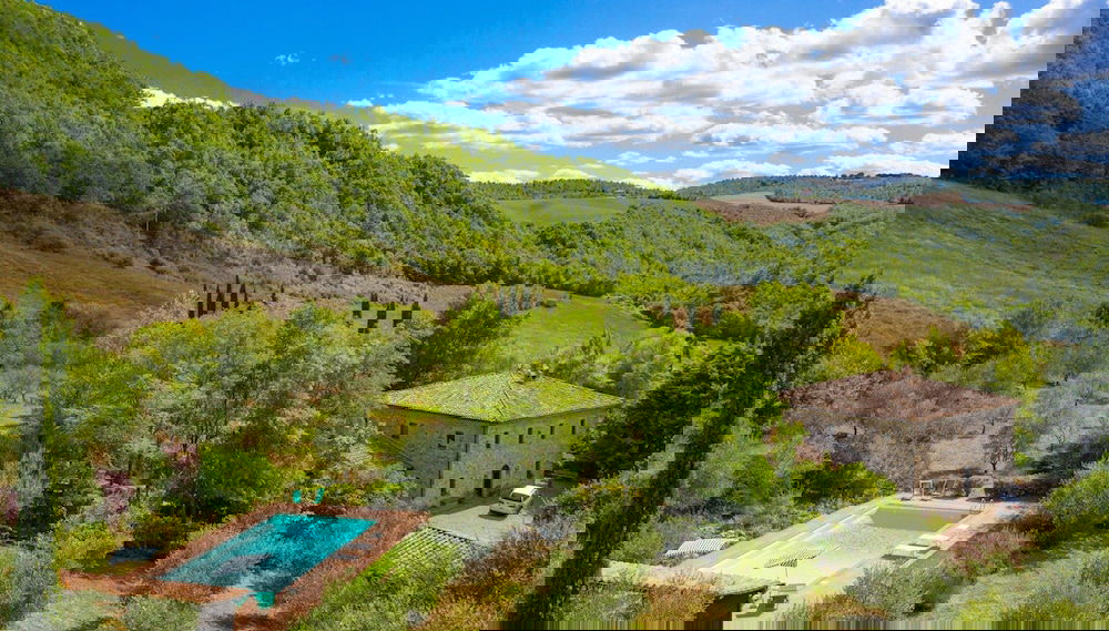 Primary image