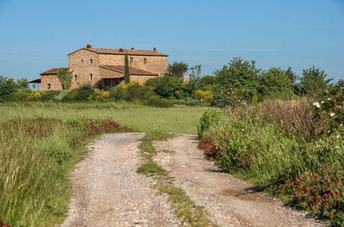 Photo 55 - Verdidea - PRUGNOLO